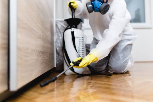 Best Mosquito Control Services  in Peosta, IA