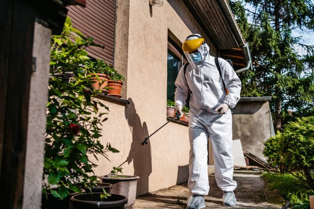 Reliable Peosta, IA Pest Control Solutions