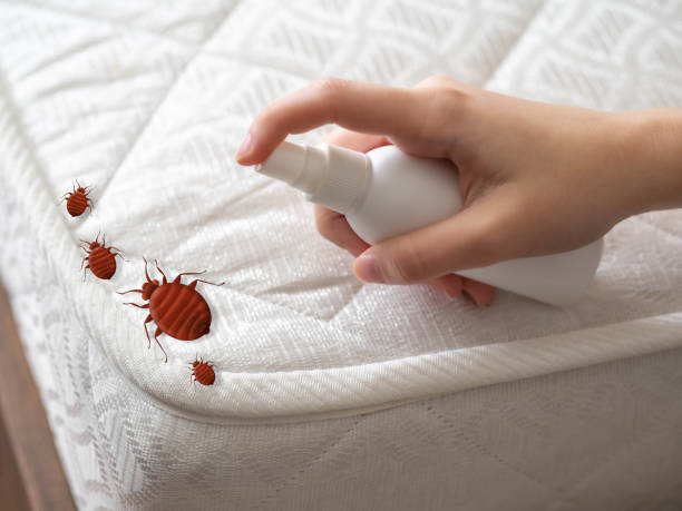 Flea Control Services in Peosta, IA