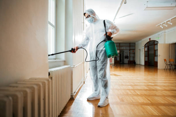 Best Wasp Removal Services  in Peosta, IA
