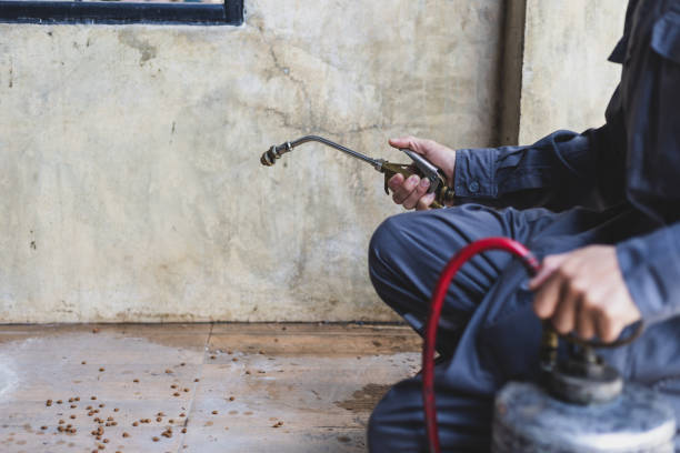 Best Residential Pest Control  in Peosta, IA