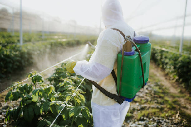 Best Pest Control Near Me in Peosta, IA